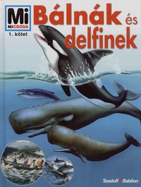 Petra Deimer: Bálnák és delfinek