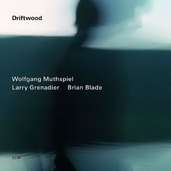 Wolfgang Muthspiel - Larry Grenadier – Brian Blade: Driftwood (CD)