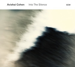 Avishai Cohen: Into the Silence (CD)