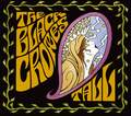 The Black Crowes: The Lost Crowes (2 CD)