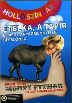 Holló Színház: Etelka, a tapír elmegy anyagmennyiség-becslőnek