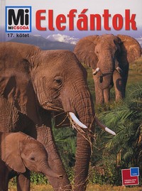 Ulrich Sedlag: Elefántok