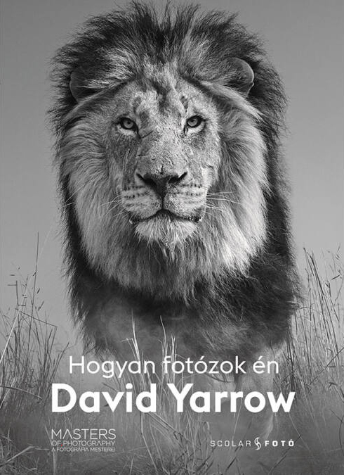 David Yarrow: Hogyan fotózok én