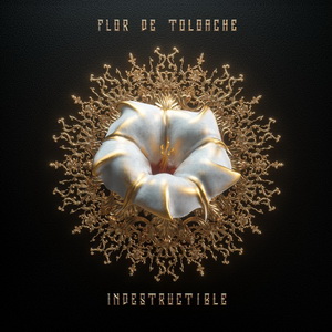 Zenék a nagyvilágból – Flor De Toloache: Indestructible – világzenéről szubjektíven 193/1.
