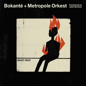 Zenék a nagyvilágból – Bokanté and Metropole Orkest: What Heat (CD) – világzenéről szubjektíven 157/2.