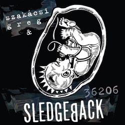 Hír: Új Szakácsi Greg & Sledgeback album