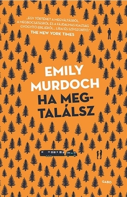 Beleolvasó - Emily Murdoch: Ha megtalálsz
