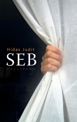 Hír: Szerzői portré és beszélgetés Hidas Judit Seb című regényéről