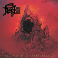 Death: The Sound of Perseverance (CD)