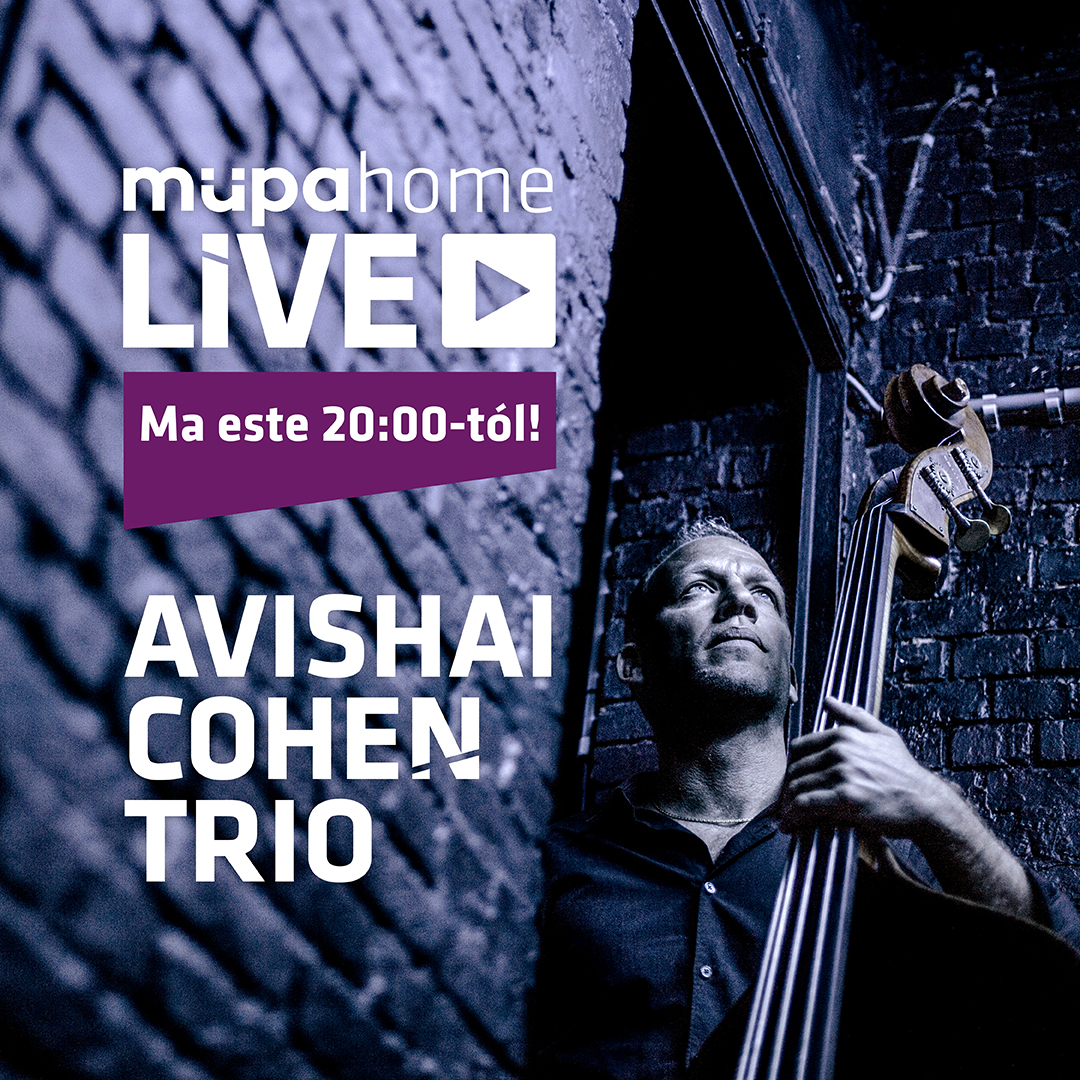 Beszámoló: Avishai Cohen Trio –  Művészetek Palotája, 2021. december 08.