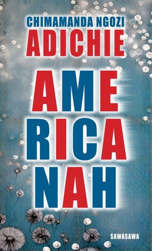 Chimamanda Ngozi Adichie: Americanah (Eti)