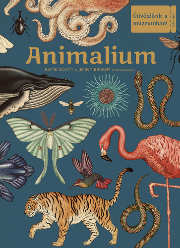 Jenny Broom: Animalium