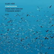 Vijay Iyer: Compassion